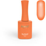 ROSENAILS Gél lakk 53 (RO53)