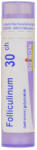  FOLLICULINUM C30 golyócskák 4 g
