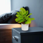  Műnövény dekoráció - monstera - 22 x 8, 5 cm (G11888)