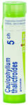  CAULOPHYLL THALICTROID C5 golyócskák 4 g