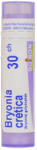  BRYONIA CRETICA C30 golyócskák 4 g