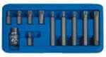SW-Stahl 04415L Csavarhúzó-fej készlet, Sokfogú, 1/2