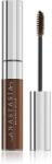 Anastasia Beverly Hills Brow Tinted Gel gel pentru sprancene culoare Espresso 9 g