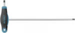 HAZET Belső hatlap csavarhúzó Kulcsszélesség: 5 mm Penge hossz: 176 mm Méret, hossz: 200 mm (829KK-5) (829KK-5)