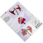 Olympia Lamináló fólia DIN A3 80 mikron 50 db (9174)