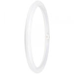 OSRAM LED EEK: E (A - G) G10q Gyűrű forma 24 W = 40 W Semleges fehér (O x H) 400 mm x 400 mm 1 db (4099854042720) (4099854042720)