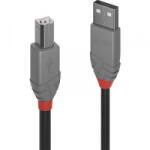 Lindy USB 2.0 Csatlakozókábel [1x USB 2.0 dugó, A típus - 1x USB 2.0 dugó, B típus] 10.00 m Fekete (36677)