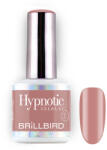 BrillBird TPO FREE Hypnotic HEMA Free Gel&Lac 4ml 31