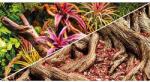  HOBBY Akvárium Háttér - Kétoldalas Dzsungel/Strangler Fig - 60x25cm