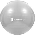Sersimo Springos Gimnasztikai labda pumpával, 150kg, 75 cm - Szürke (FB0008)