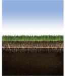 Rain Bird XFS talajfelszín alá fektethető csepegtető cső 16 - 33cm osztással - pepita