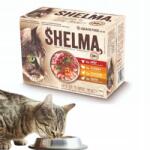 Shelma Nedves Macskaeledel Shelma Gabonamentes Tasak MIX Szett 4 Íz 12X85G