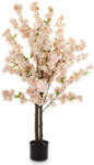  Cseresznyefa művirág barack 120cm