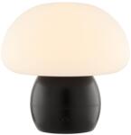 Brilliant - DUPIS LED/2W/5V 2700K dimmelhető, újratölthető asztali lámpa, fekete G60230/76 (BI0320)