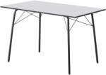 TEMPO KONDELA Étkezőasztal, fehér/fekete, 120x75x75 cm, NALAK TYP 2 - mindigbutor