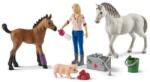 Schleich Vizitați un medic cu iapă și mânzuri (OLP102642486) Figurina