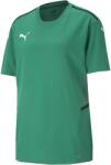 PUMA Teamcup Jersey (70438605)
