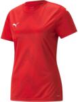PUMA Teamglory Jersey (70534701)