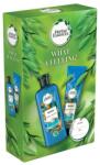 Herbal Essences repair argan oil ajándékcsomag