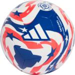 Adidas FCWC Training Ball