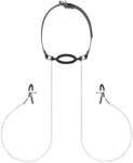 Bedroom Fantasies - set gag bucal și cleme sfârcuri - argintiu-negru (8719934007970)