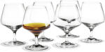 Holmegaard Pahare pentru coniac și țuică Perfection 6 buc (4802419) Pahar