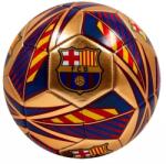 PHI FC Barcelona: Pitch Focilabda, Arany - 5-ös Méret