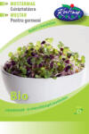 Rédei Kertimag bio mustármag csíráztatásra 50 g - mamavita