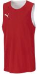 PUMA Dach Practise Jersey L