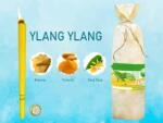 Hoxi Lumanari pentru urechi HOXI Ylang Ylang, 10 buc