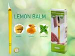 Hoxi Lumanari pentru corp HOXI Honey, 10 buc