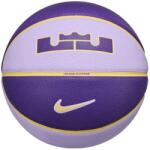 Nike All Court 2.0 8p L James Deflated 7