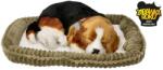 Perfect Petzzz Cățeluș Beagle Respirabil