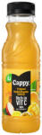 Cappy VITC Tróp. Multiv. 50% 0.33l PET 12/# DRS