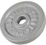 Gorilla Sports Öntöttvas teherlemez ezüst 2, 5 kg (100538-00002-0007) - gorillasports Súlytárcsa