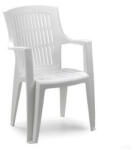 ProGarden Arpa műanyag karfás kerti szék fehér O54 (O54)