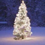  Kültéri toldható fényfüzér, hideg fehér, 50 LED, 5 m (KDK 003)