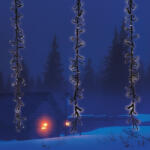  Meteor fényfüggöny, hideg fehér, fekete kábel, 2 x 1 m, 480 LED (KDF 001)