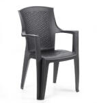 ProGarden Eden rattan hatású karfás műanyag kerti szék antracit szürke O282 (O282)