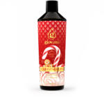 Giovani Концентриран парфюм за пране Giovani CHRISTMAS PIE Обем: 500 ml