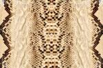 DIMEX ART Флизелинов фототапет змийска кожа 375 x 250 см