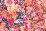 DIMEX ART Флизелинов фототапет цветен фон 375 x 250 см