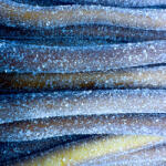 Fini Savanyú Cola Kábel Gumicukor (100g)