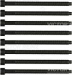 Victor Reinz Sada skrutiek hlavy valcov VICTOR REINZ 14-32121-02 (14-32121-02)