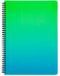 KARTON P+P Spirál füzet A/4, vonalas, 60 lapos, műanyag borítóval, OMBRE, zöld-kék (KPP-8-16125) - officetrade