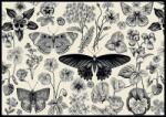 Interdruk - Puzzle Fluturi și flori - 500 piese Puzzle