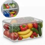 köken Cutie depozitare alimente cu capac Koken, organizator pentru frigider, birou, bucatarie 23.5x13x11 cm, plastic transparent fara BPA - koken - 32,00 RON