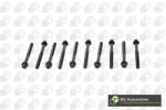 BGA Set surub, chiulasa BGA BK1318 (BK1318)