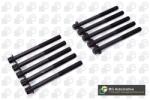 BGA Set surub, chiulasa BGA BK2318 (BK2318)