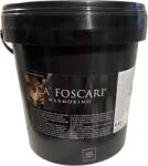  CASATI - Ca'Foscari marmorino 20 L